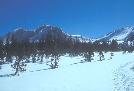 Mount Conness (left center), North Peak (rear left) from near Young Lake - Yosemite National Park 30 May 1971 Mount Conness (left center), North Peak (rear left) from near Young Lake - Yosemite National Park 30 May 1971