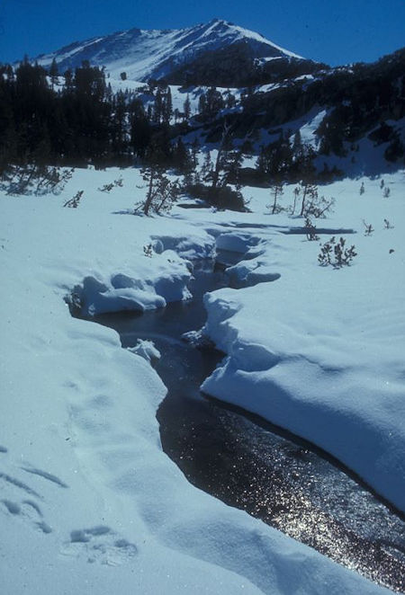 Enroute to Mount Conness - 30 May 1971