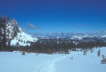 Looking back at Ragged Peak on way to Mount Conness - 30 May 1971