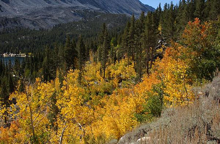 2004 Rock Creek Fall Colors
