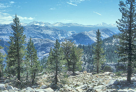 View east near South Fork Tuolumne River - Yosemite National Park - 05 Jul 1973
