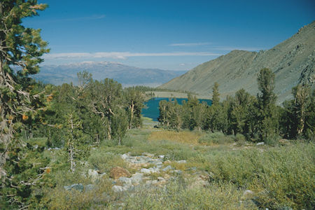 Tamarack Lake - Hoover Wilderness 1980 Tamarack Lake - Hoover Wilderness 1980