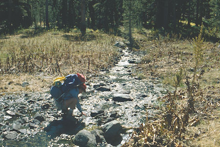 Tamarack Creek - Hoover Wilderness 1980