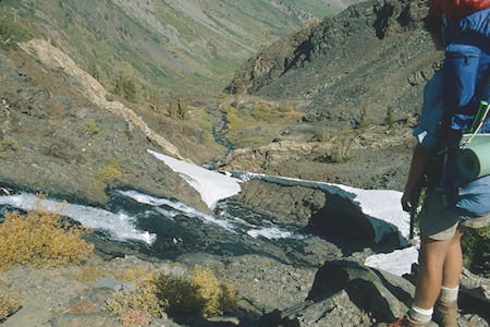 Lundy Canyon - Hoover Wilderness 1980