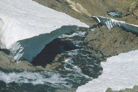 Lundy Canyon - Hoover Wilderness 1980