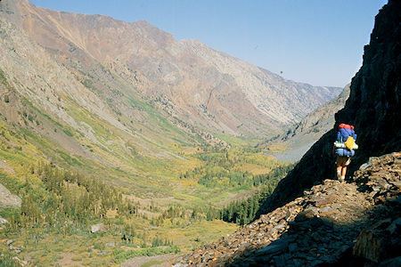 Lundy Canyon - Hoover Wilderness 1980