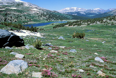 View northwest past Spillway Lake down the Dana Fork drainage in Yosemite National Park. The green meadow in the far trees is Dana Meadows, just inside the Park at Tioga Pass