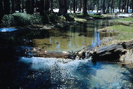 Green Creek below East Lake - Hoover Wilderness 1982 Green Creek below East Lake - Hoover Wilderness 1982