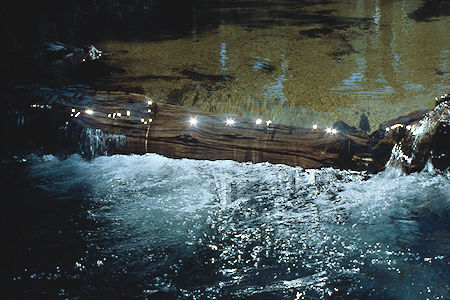 Green Creek below East Lake - Hoover Wilderness 1982