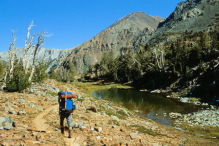 East Fork Green Creek - Hoover Wilderness 1982