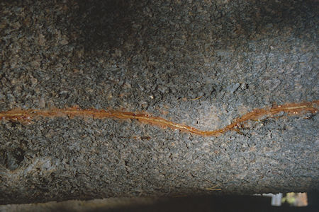 Lightning strike - Hoover Wilderness 1982