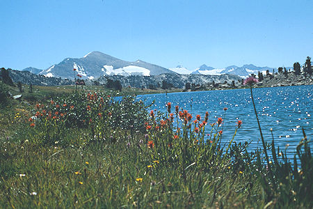 Flowers at Lower Granite Lake - Yosemite National Park 1986