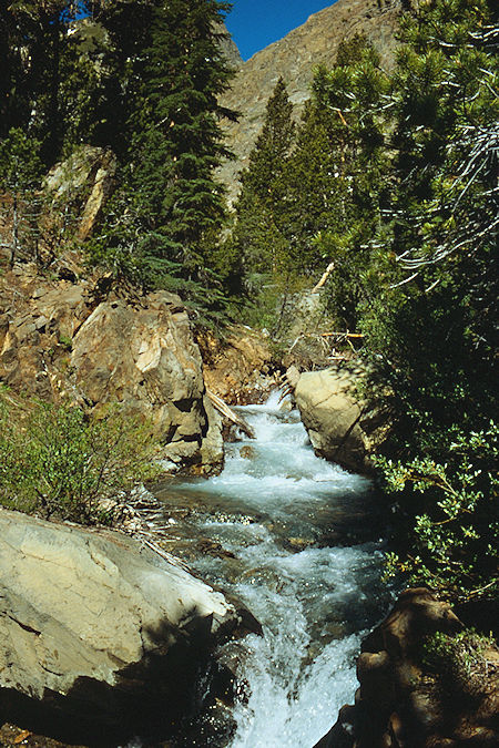 Glines Canyon - Hoover Wilderness 1989 Glines Canyon - Hoover Wilderness 1989
