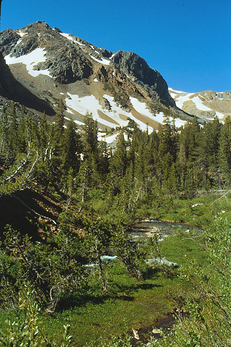 Glines Canyon - Hoover Wilderness 1989 Glines Canyon - Hoover Wilderness 1989