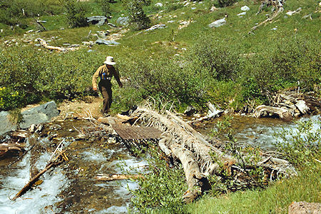 Gil Beilke crossing Par Value Creek - Hoover Wilderness 1989 Gil Beilke crossing Par Value Creek - Hoover Wilderness 1989
