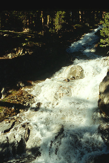 Glines Canyon above camp - Hoover Wilderness 1989 Glines Canyon above camp - Hoover Wilderness 1989