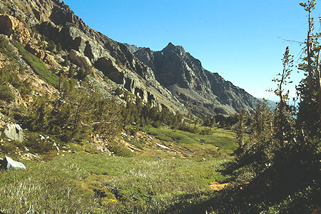 Glines Canyon below Virginia Pass - Hoover Wilderness 1989