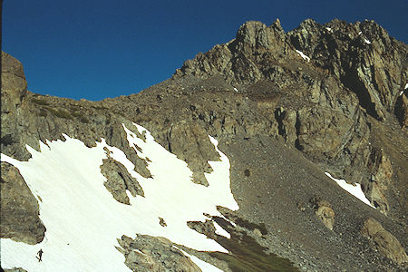 Gil Beile on the snow field checking animal tracks near Virginia Pass - Hoover Wilderness 1989 Gil Beile on the snow field checking animal tracks near Virginia Pass - Hoover Wilderness 1989