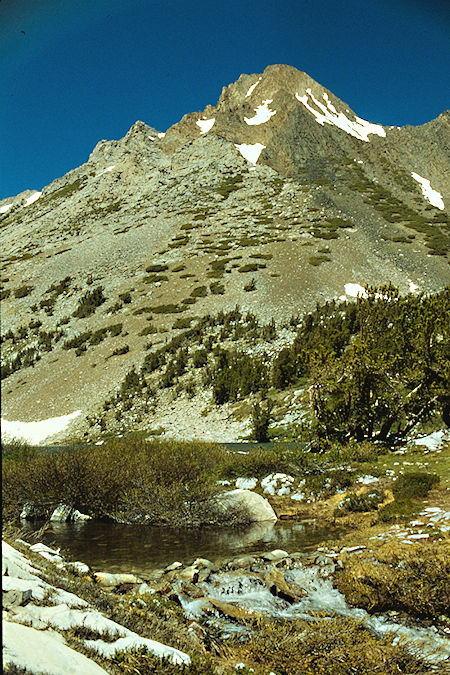 Virginia Peak above Return Lake above camp - Yosemite National Park 1989 Virginia Peak above Return Lake above camp - Yosemite National Park 1989