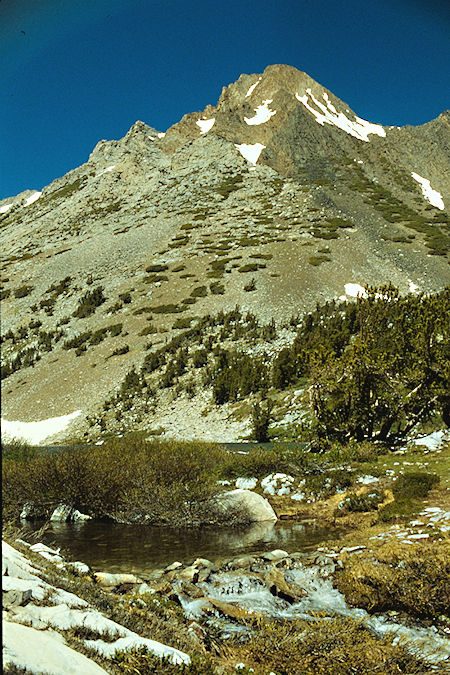 Virginia Peak above Return Lake above camp - Yosemite National Park 1989