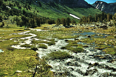 On way to Summit Lake - Yosemite National Park 1989