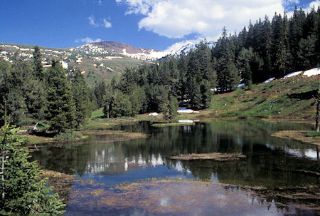 View over pond in Pine Creek Basin on west side of South Warner Wilderness