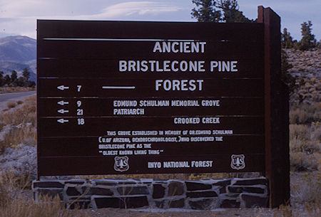 Ancient Bristlecone Pine Forest sign - White Mountains - Oct 1962