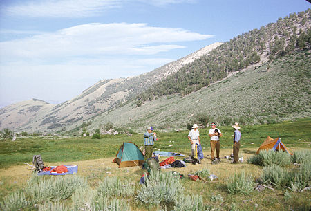Boundary Peak campsite in Trail Canyon