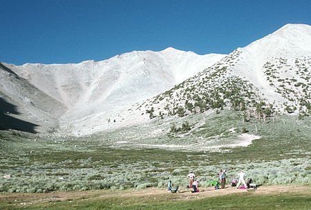 Boundary Peak from campsite