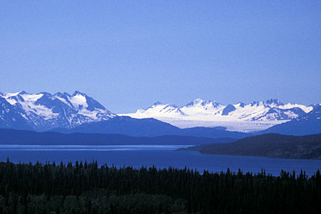 Llewellyn Glacier across Atlin Lake, British Columbia