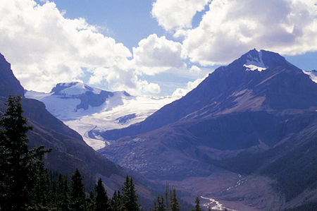 Payto Glacier, Icefield Parkway, Banff National Park, Canada