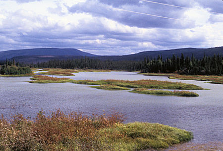 Yukon River about 25 miles north of Carmacks
