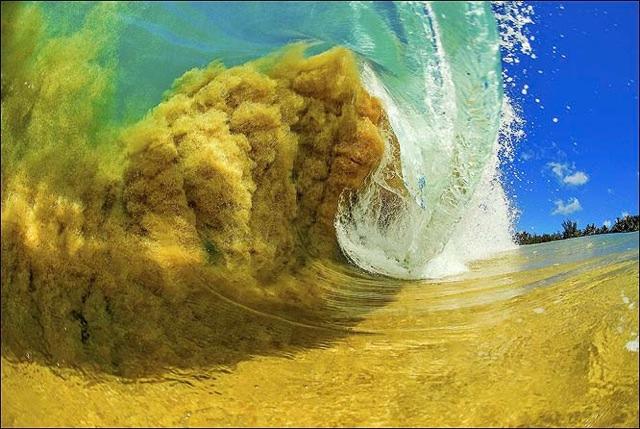 Sand in surf - Clark Little/SWNS