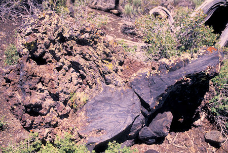 Craters of the Moon Devil's Orchard