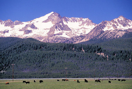 Sawtooth Mountains from Hwy 75 near Obsidion, Idaho