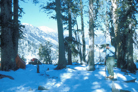 Charleston Peak from camp - 11-29-69