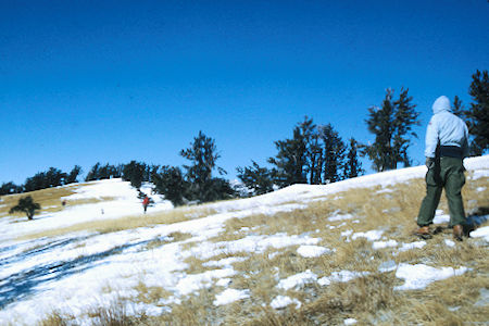 Start of ridge to Charleston Peak - 11-29-69