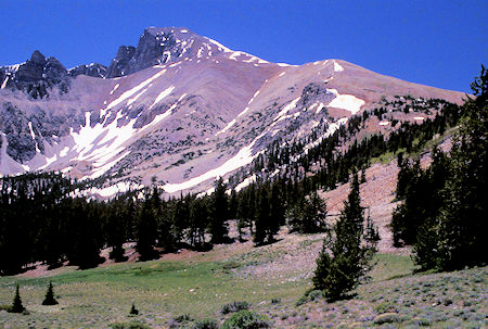 Wheeler Peak and ridge from summit trail - Great Basin National Park