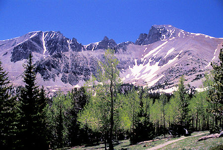Jeff Davis Peak (left) & Wheeler Peak (right) from summit trail - Great Basic National Park
