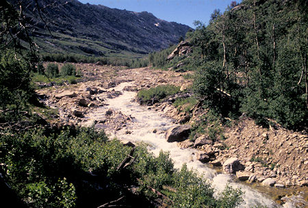 Lamoille Creek - Lamoille Canyon Scenic Drive showing scouring from 1995 flood