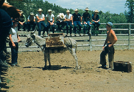Burro packing instruction at Zastro Camp Burro packing instruction at Zastro Camp