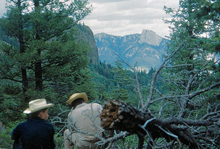 Trail clearing - Tooth of Time