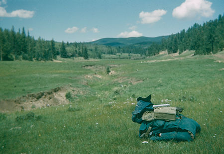 My pack in a meadow at Crooked Creek