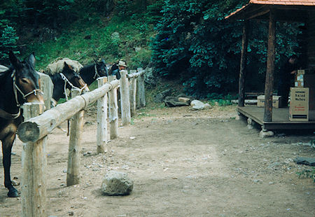 Mule packers at Waite Phillips Rayado Fishing Lodge