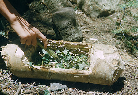 Bowl created at survival training