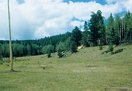 Meadow, flag pole, cabin under construction at Crooked Creek