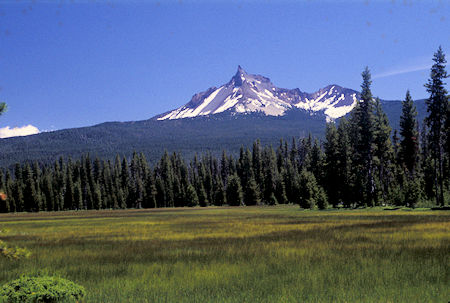 Mount Thielson over meadow at south end of south shore bike path, Diamond Lake Recreation Area, Oregon