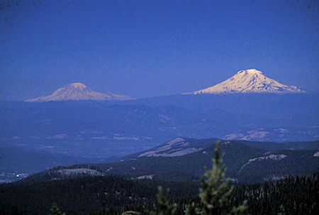 Mt. Rainier and Mt. Adams from Lookout Mountain near Mt. Hood, Oregon