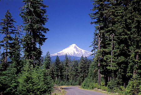 Mt. Hood from USFS Road 42 south of Mt. Hood, Oregon