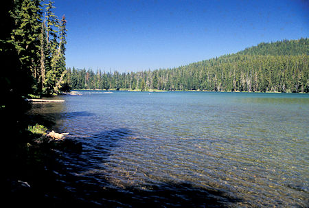 Torrey Lake in Waldo Lake Wilderness, Waldo Lake Recreation Area, Oregon